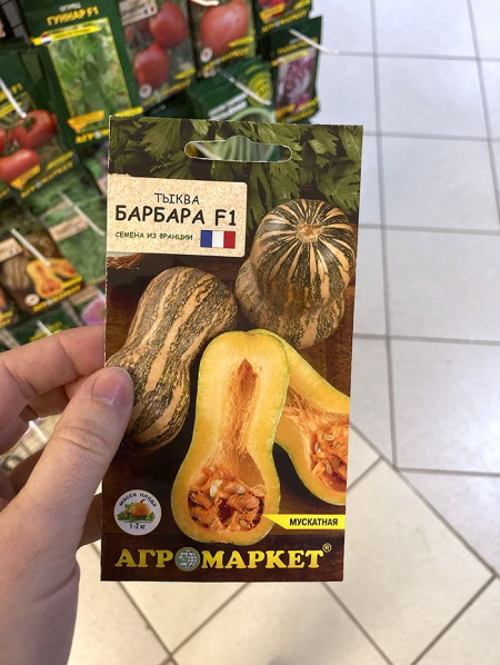 тыква Барбара F1 (уп. 5шт.) Франция